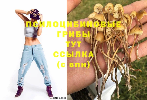 ешки Балахна