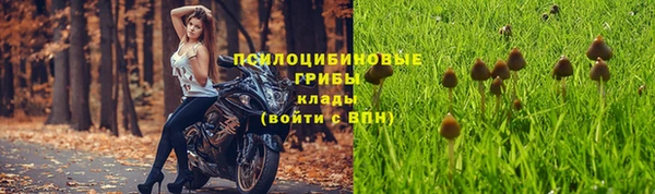 ешки Балахна